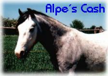Bild: Alpe&acute;s Cash